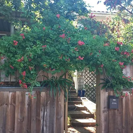 Maison Du Avec Privee * Biscarrosse