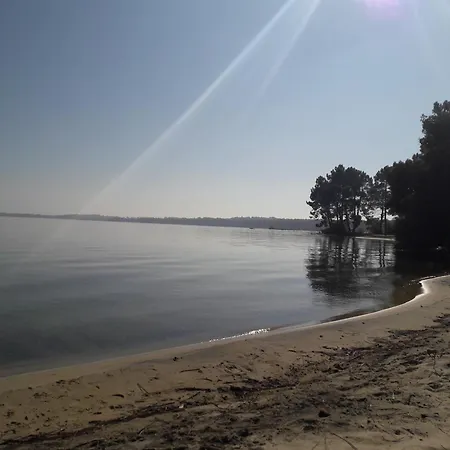 Hébergement de vacances Maison Du Avec Privee Biscarrosse