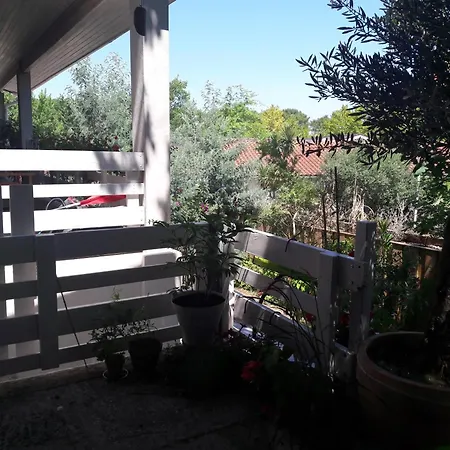 Maison Du Avec Privée Biscarrosse